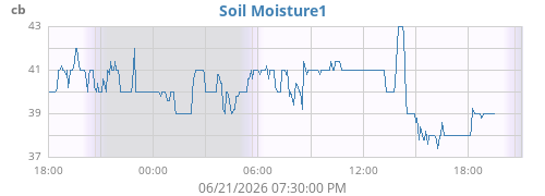 daymoistsoil