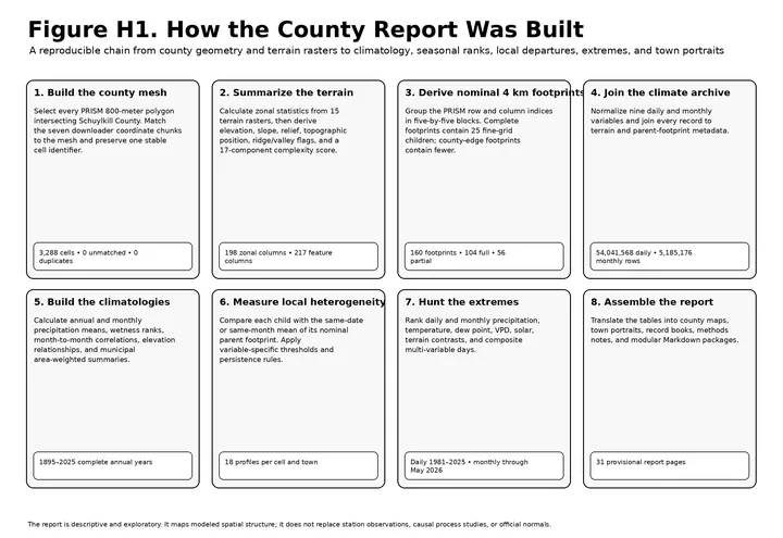 Report Analysis Workflow