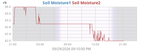 daymoistsoil