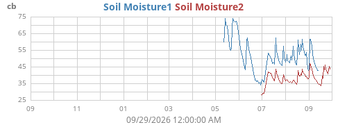 yearmoistsoil